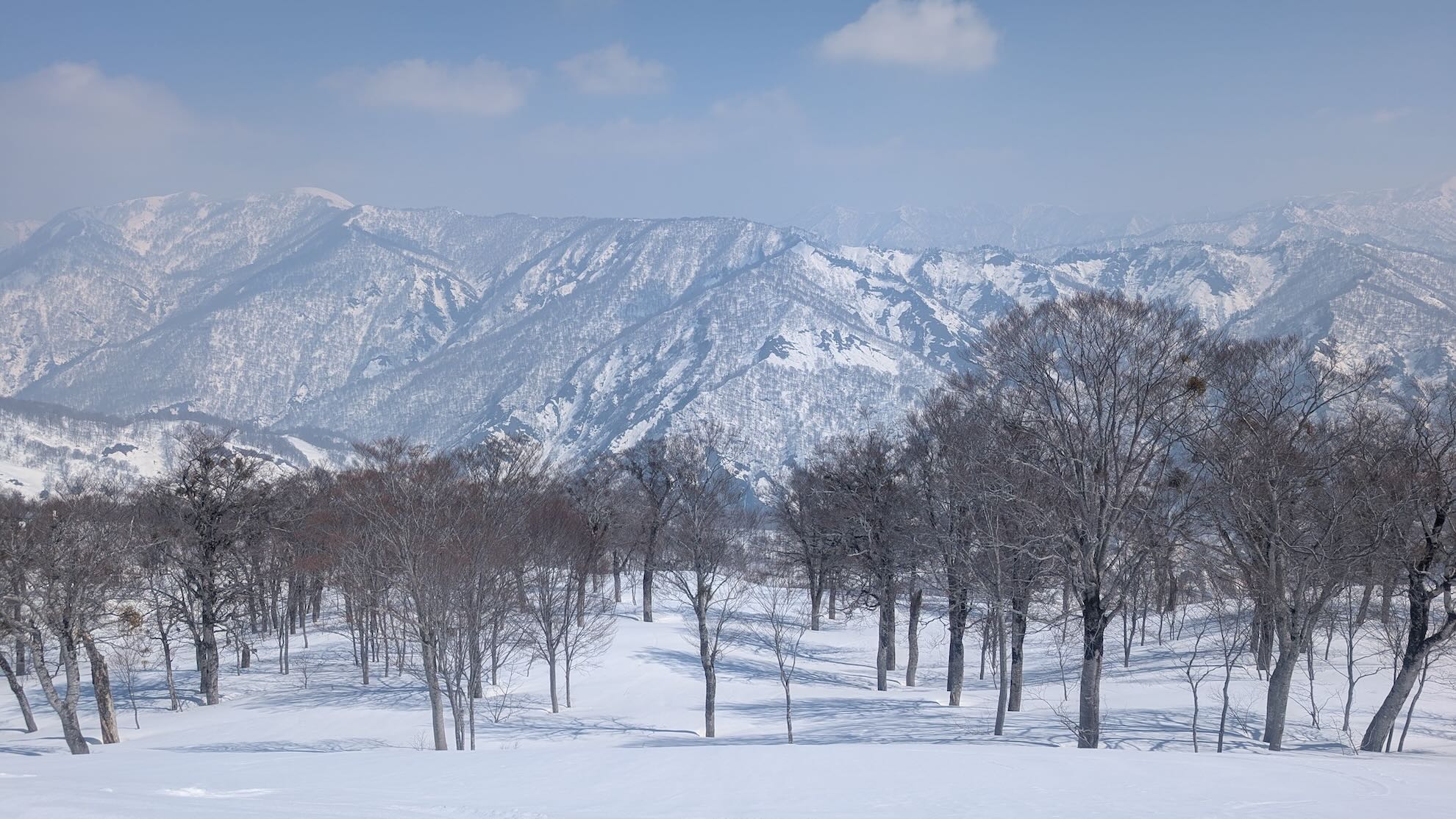 Tree skiing in Okutadami in Spring 2025
